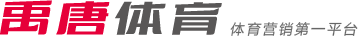 巴黎的控球